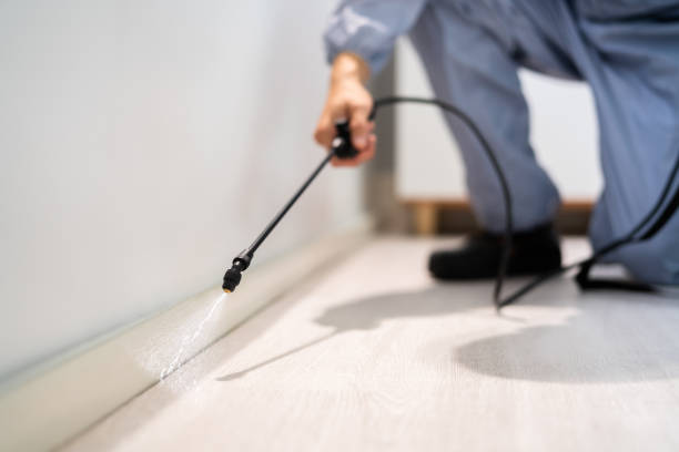 Certified termite inspector examining foundation in Waverly