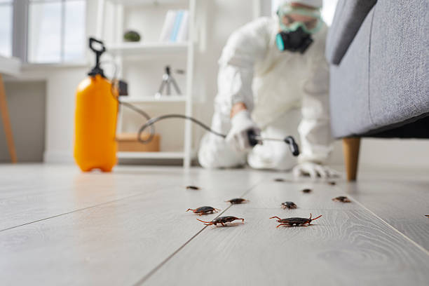 Commercial Kitchen Cockroach Control in Waverly